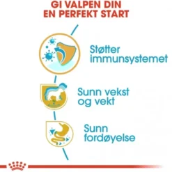 Royal Canin Breed Labrador Retriever Puppy tørrfôr til hundvalp