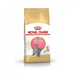 Royal Canin British Shorthair Cat Kitten