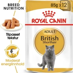 Royal Canin British Shorthair Cat Adult Gravy 12 x 85 g