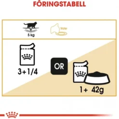 Royal Canin British Shorthair Cat Adult Gravy 12 x 85 g