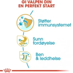Royal Canin Bulldog Puppy tørrfôr til hundevalp