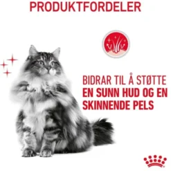 Royal Canin Cat Adult Hair & Skin Care