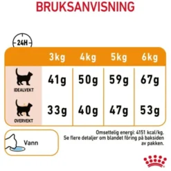 Royal Canin Cat Adult Hair & Skin Care
