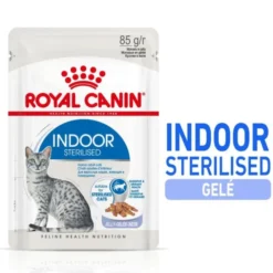 Royal Canin Cat Adult Indoor Sterilised Jelly 12 x 85 g