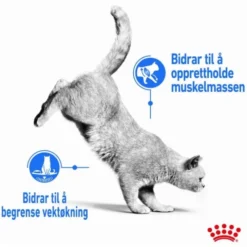 Royal Canin Cat Adult Light Weight Care Chunks in Gravy 12x85g