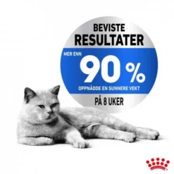 Royal Canin Cat Adult Light Weight Care Chunks in Gravy 12x85g