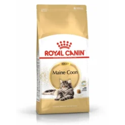 Royal Canin Cat Adult Maine Coon Kibble