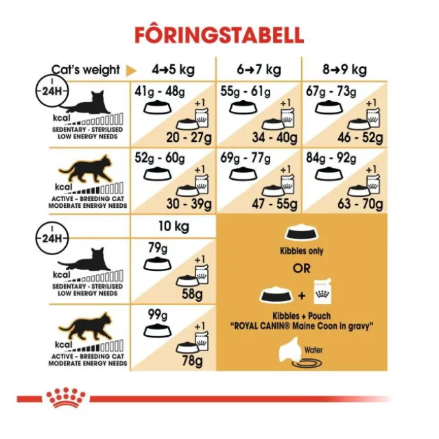Royal Canin Cat Adult Maine Coon Kibble