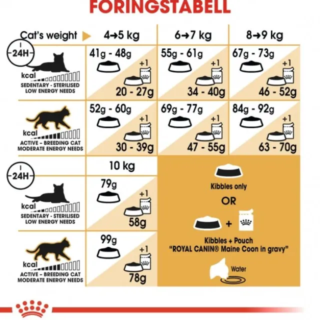 Royal Canin Cat Adult Maine Coon Kibble