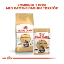 Royal Canin Cat Adult Maine Coon Kibble