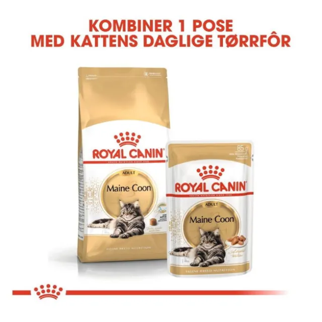 Royal Canin Cat Adult Maine Coon Kibble