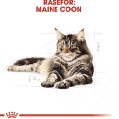 Royal Canin Cat Adult Maine Coon Kibble