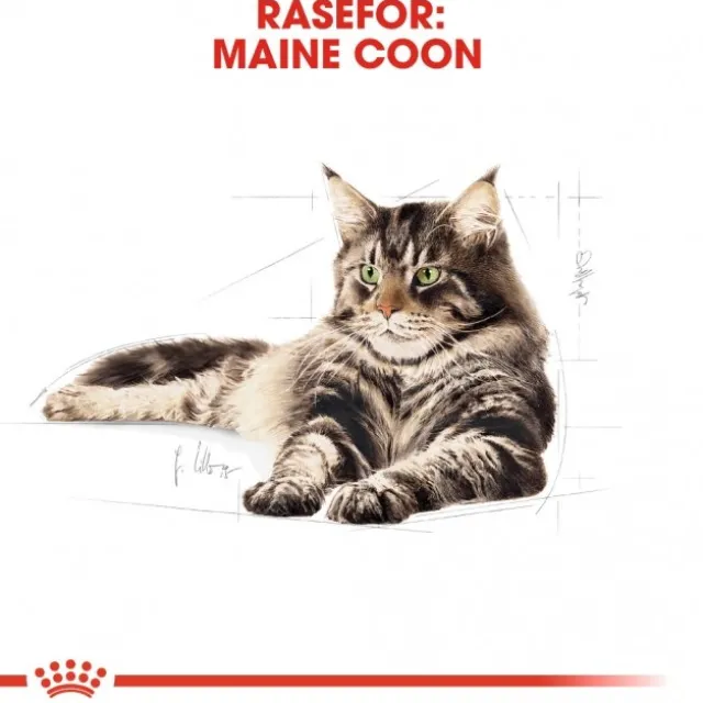 Royal Canin Cat Adult Maine Coon Kibble