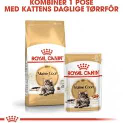 Royal Canin Cat Adult Maine Coon Kibble