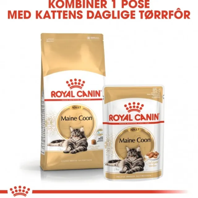 Royal Canin Cat Adult Maine Coon Kibble