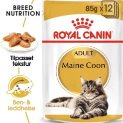 Royal Canin Cat Adult Maine Coon Chunks in Gravy 12x85g