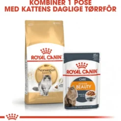 Royal Canin Cat Adult Norwegian Forest Cat