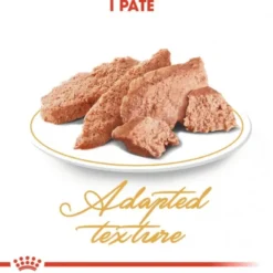Royal Canin Cat Adult Persian Chunks in Patè 12x85g
