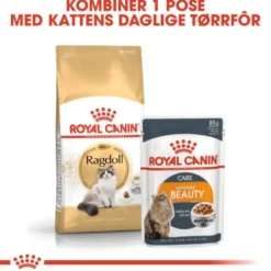Royal Canin Cat Adult Ragdoll