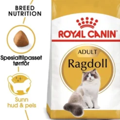 Royal Canin Cat Adult Ragdoll