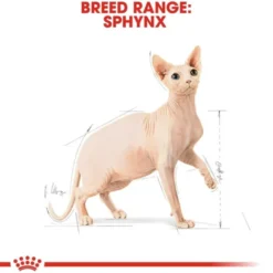 Royal Canin Cat Adult Sphynx