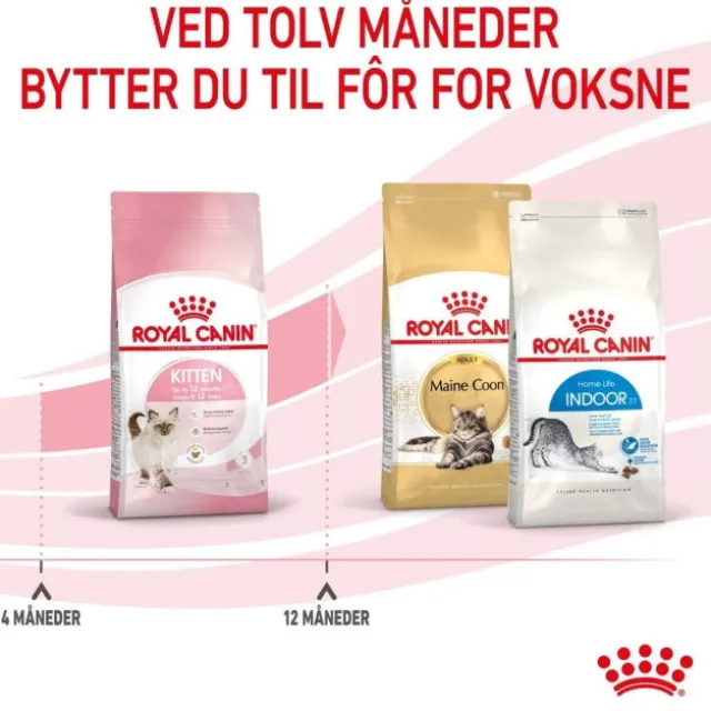 Royal Canin Cat Kitten