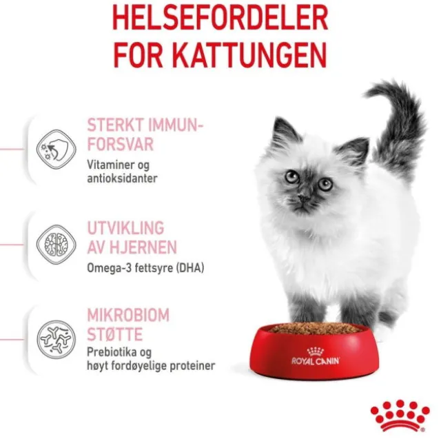Royal Canin Cat Kitten