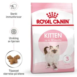 Royal Canin Cat Kitten