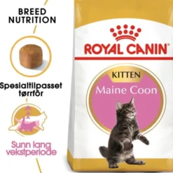 Royal Canin Cat Kitten Maine Coon Kibble