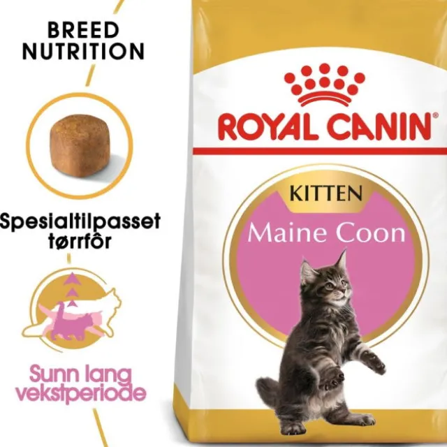 Royal Canin Cat Kitten Maine Coon Kibble