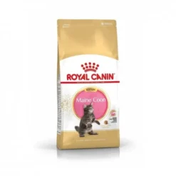 Royal Canin Cat Kitten Maine Coon Kibble