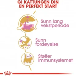 Royal Canin Cat Kitten Maine Coon Kibble