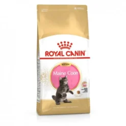 Royal Canin Cat Kitten Maine Coon Kibble
