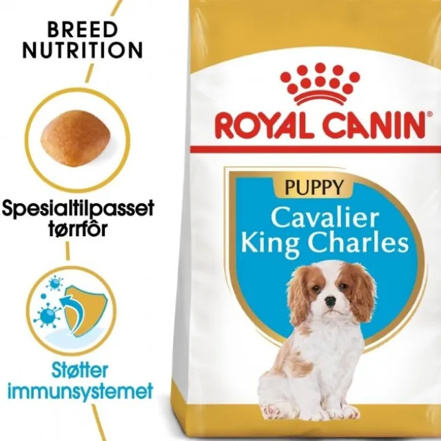 Royal Canin Cavalier King Charles Puppy tørrfôr til hundvalp