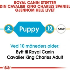 Royal Canin Cavalier King Charles Puppy tørrfôr til hundvalp
