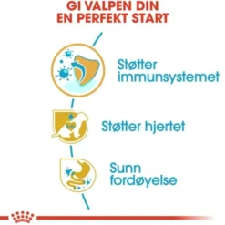 Royal Canin Cavalier King Charles Puppy tørrfôr til hundvalp
