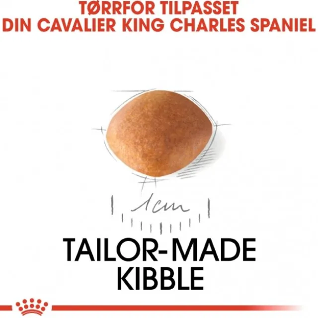 Royal Canin Cavalier King Charles Puppy tørrfôr til hundvalp