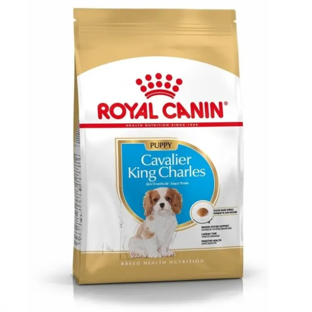 Royal Canin Cavalier King Charles Puppy tørrfôr til hundvalp