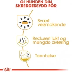 Royal Canin Chihuahua Adult tørrfôr til hund