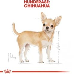 Royal Canin Chihuahua Adult tørrfôr til hund