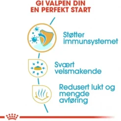 Royal Canin Chihuahua Puppy tørrfôr til hundvalp