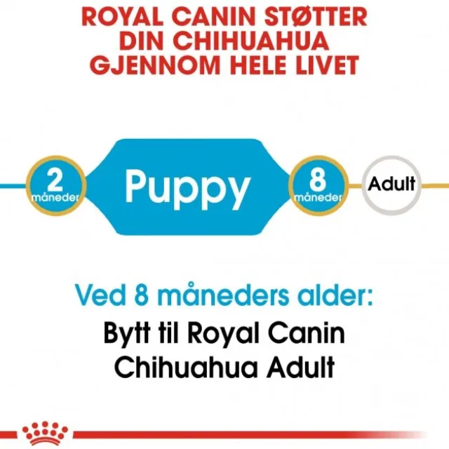 Royal Canin Chihuahua Puppy tørrfôr til hundvalp