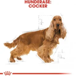 Royal Canin Cocker Adult tørrfôr til hund