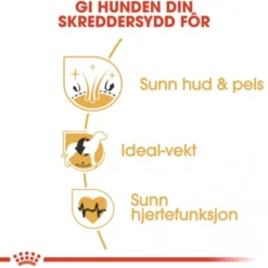 Royal Canin Cocker Adult tørrfôr til hund
