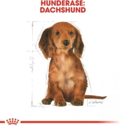Royal Canin Dachshund Puppy tørrfôr til valp 1,5kg