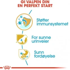 Royal Canin Dalmatian Puppy tørrfôr til hundvalp
