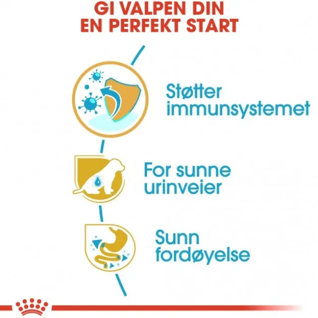 Royal Canin Dalmatian Puppy tørrfôr til hundvalp
