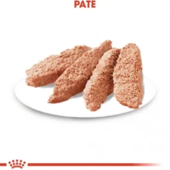 Royal Canin Exigent Adult våtfôr til hund 12x85 g
