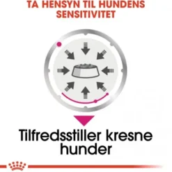 Royal Canin Exigent Adult våtfôr til hund 12x85 g