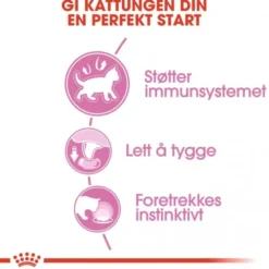 Royal Canin Kitten Chunks in Gravy 12x85g